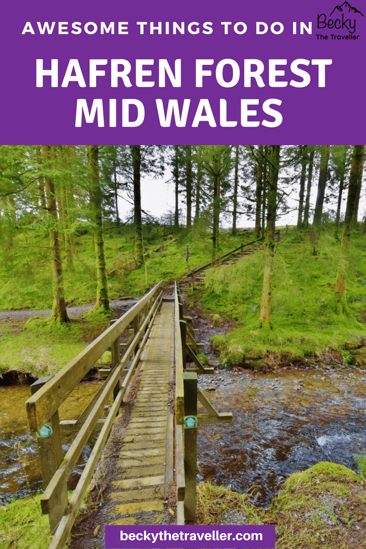 Things to do in Mid Wales - Hafren Forest