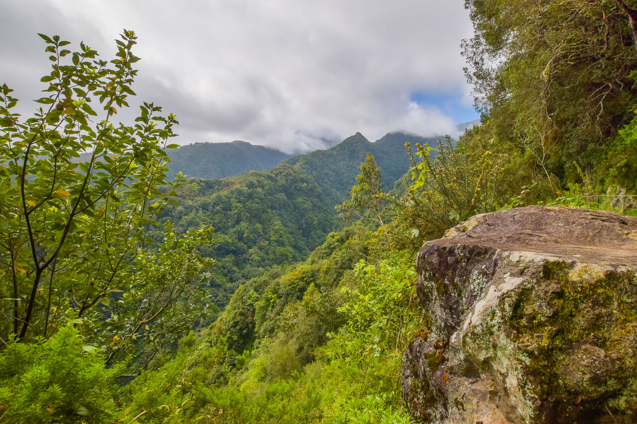 Levada do Rei easy walk, Madeira