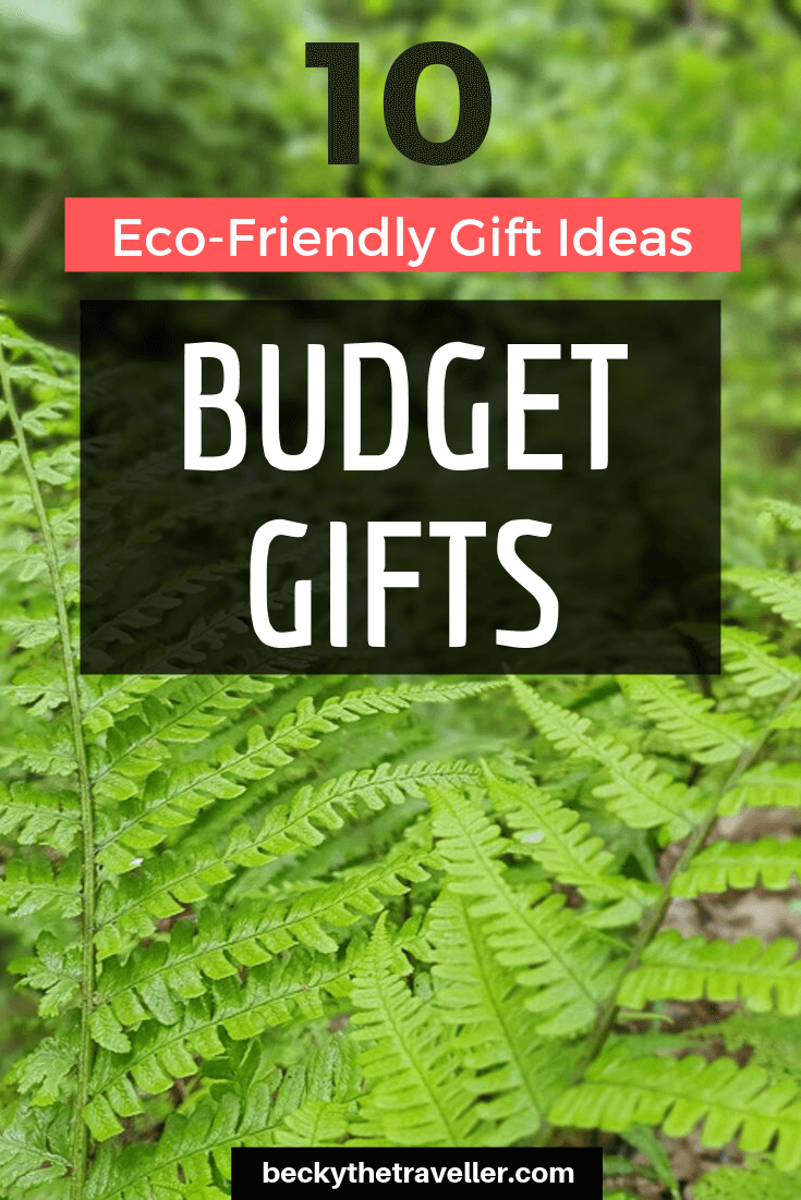 Eco friendly travel gifts budget