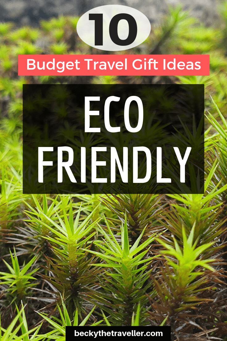 Eco friendly travel gifts budget
