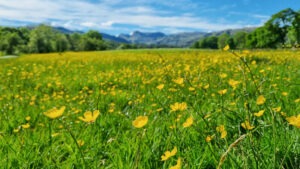Walking The Cumbria Way (+ Wild Camping) | ULTIMATE Guide
