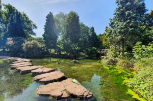 Stepping stones at Highfields Lake Nottingham